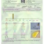 Certificate of Analysis: CBD Hemp Oil Water Soluble 500mg